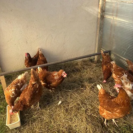 아파트 Escapade & Bien Etre *