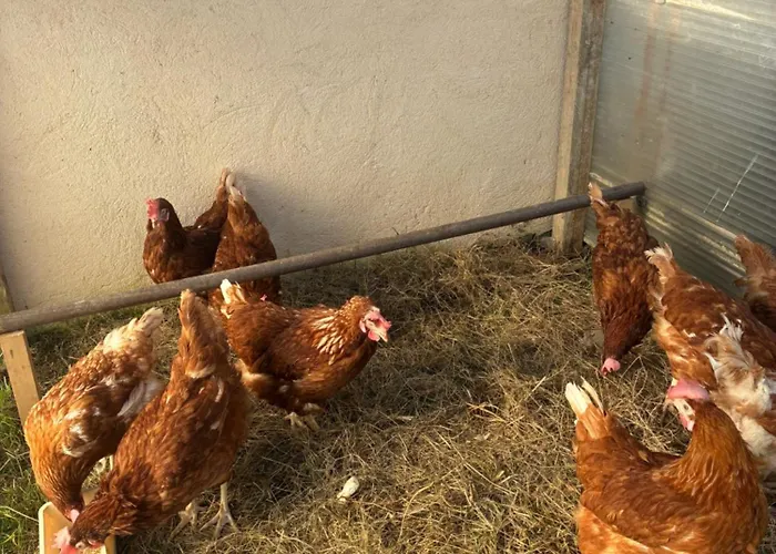 아파트 Escapade & Bien Etre *